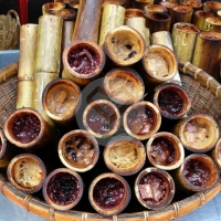 ไผ่ป่า (Forest Bamboo) 
