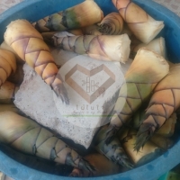 ไผ่เป๊าะช่อแฮ (Poh Chor Hae Bamboo) 