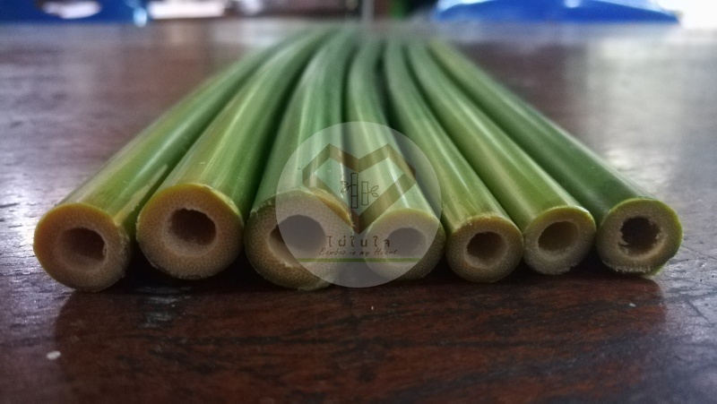 ไผ่หลอด (Straw Bamboo) 